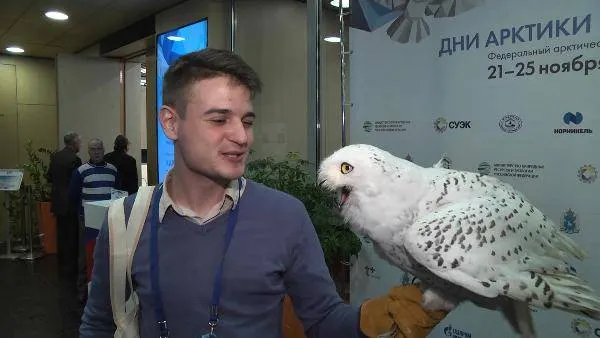 Андрей Кориков / КРАСНЫЙ СЕВЕР