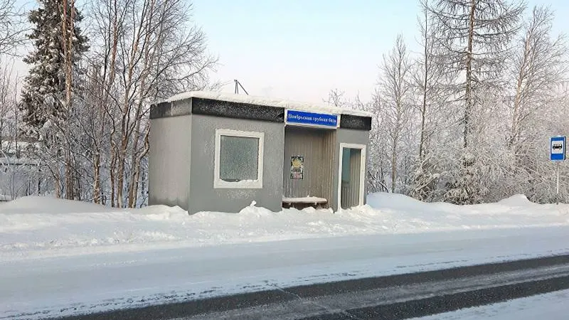 Фото: Валерия Акименко / КРАСНЫЙ СЕВЕР
