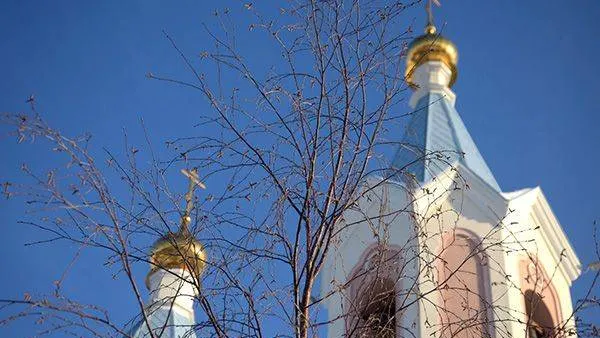 Фото: Андрей Ткачёв / «Красный Север»