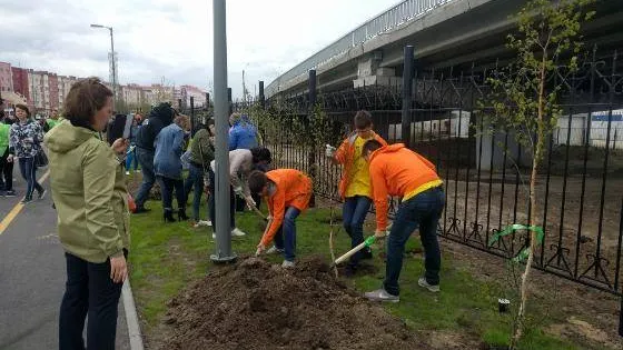 Фото: Надежда Хабаза / «Красный Север»