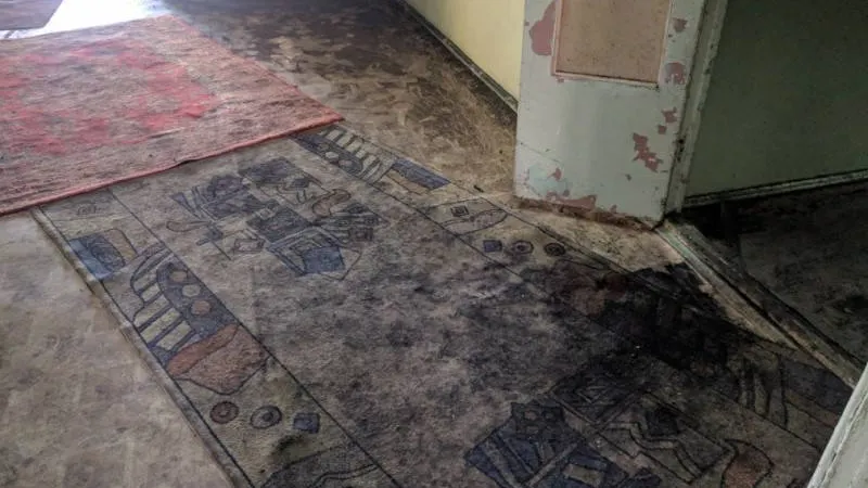 Фото: Надежда Хабаза / «Красный Север»