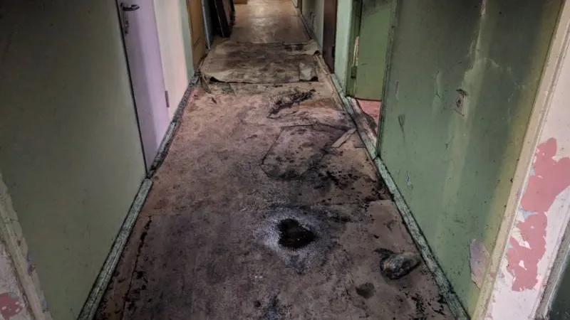 Фото: Надежда Хабаза / «Красный Север»