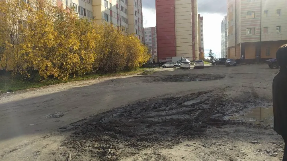 Фото: Надежда Хабаза, КРАСНЫЙ СЕВЕР