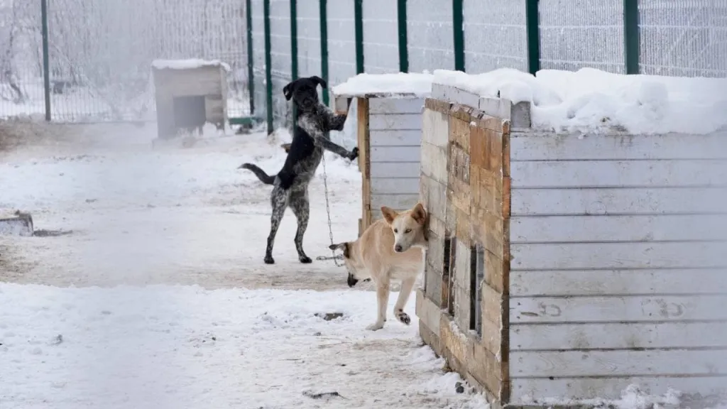 Фото Юлии Чудиновой
