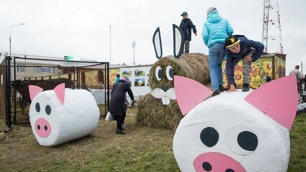 Фото: Данил Колосов / «Красный Север»