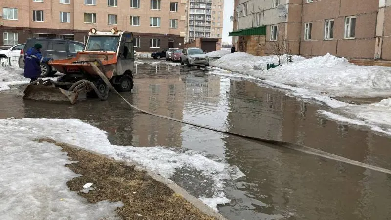Фото: Надежда Хабаза / «Красный Север»