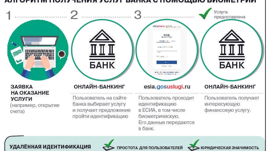 Инфографика: Анастасия Горшунова / КРАСНЫЙ СЕВЕР
