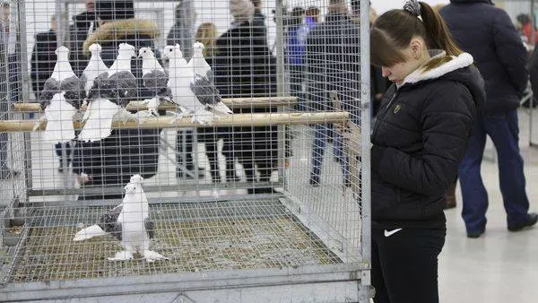 Фото: Алсу Хайретдинова / «Красный Север»