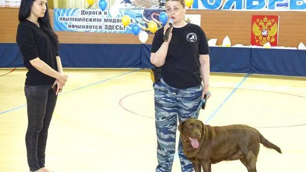 Фото: Валерия Акименко / «Красный Север»