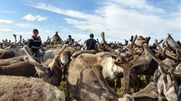 Фото: пресс-служба губернатора ЯНАО