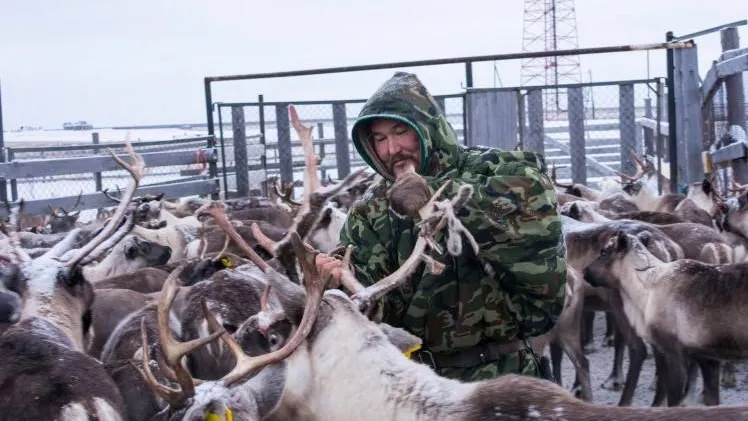Фото: mo-yamal.ru