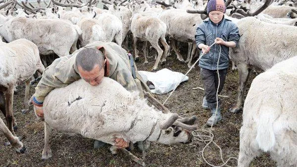 Фото: Александр Бейфус / «Красный Север»