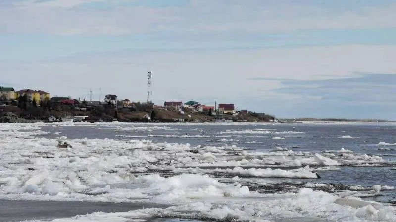 Фото: Татьяна Паршукова / «Красный Север»