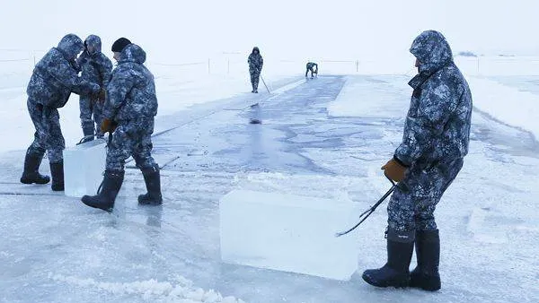 Фото: Андрей Ткачёв / «Красный Север»
