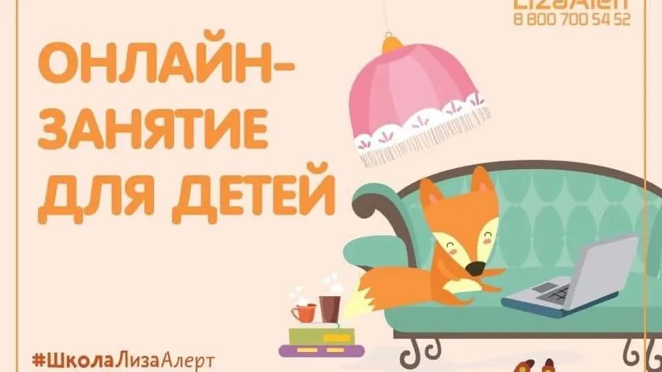 Инфографика: lizaalert.org