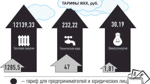 Инфографика: Жанна Ковязина / «Красный Север»