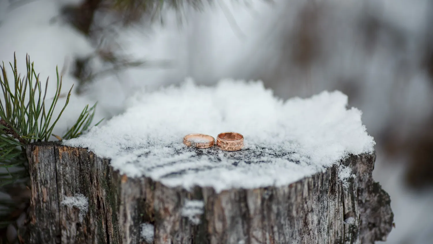 Фото: shutterstock.com