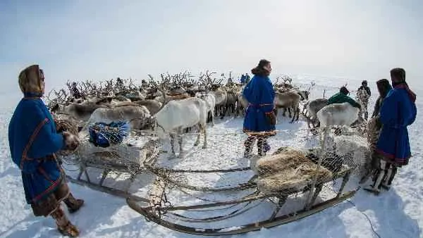 КРАСНЫЙ СЕВЕР