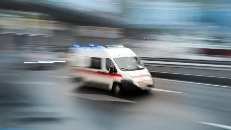 Фото: shutterstock.com