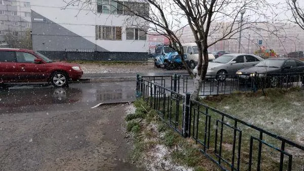 Фото: Надежда Хабаза / КРАСНЫЙ СЕВЕР