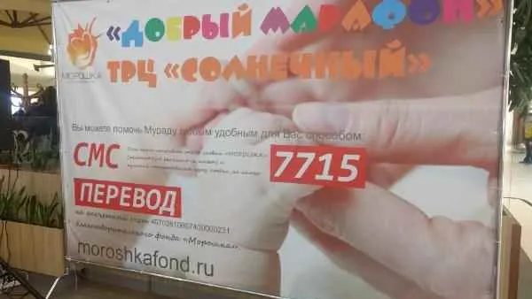 Надежда Хабаза / КРАСНЫЙ СЕВЕР