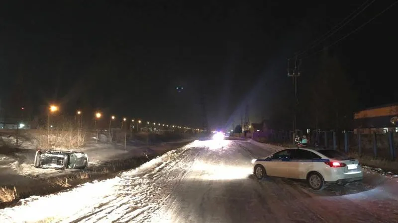 Новоуренгойский водитель пожалел собаку и погиб в ДТП