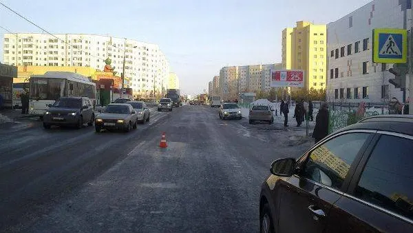 Фото: УМВД по ЯНАО