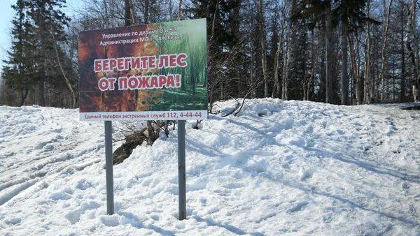 Фото: Данил Колосов / «Красный Север»