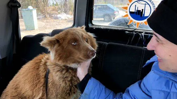 Фото из архива Андрея Меньшикова