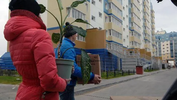 КРАСНЫЙ СЕВЕР