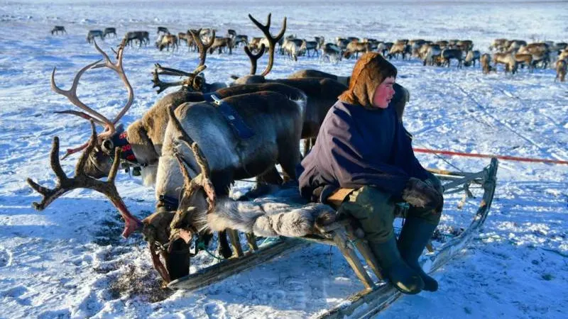 Фото: КРАСНЫЙ СЕВЕР
