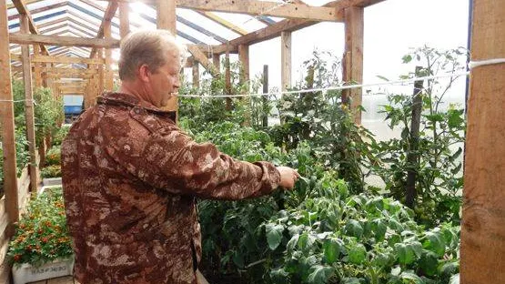 КРАСНЫЙ СЕВЕР