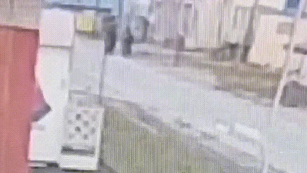 Видео предоставлено СУ СКР по ЯНАО.