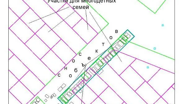 Фото: Анна Чернова / «Красный Север»