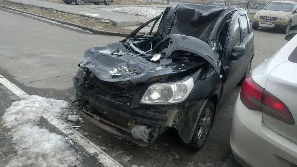 Надежда Хабаза / КРАСНЫЙ СЕВЕР