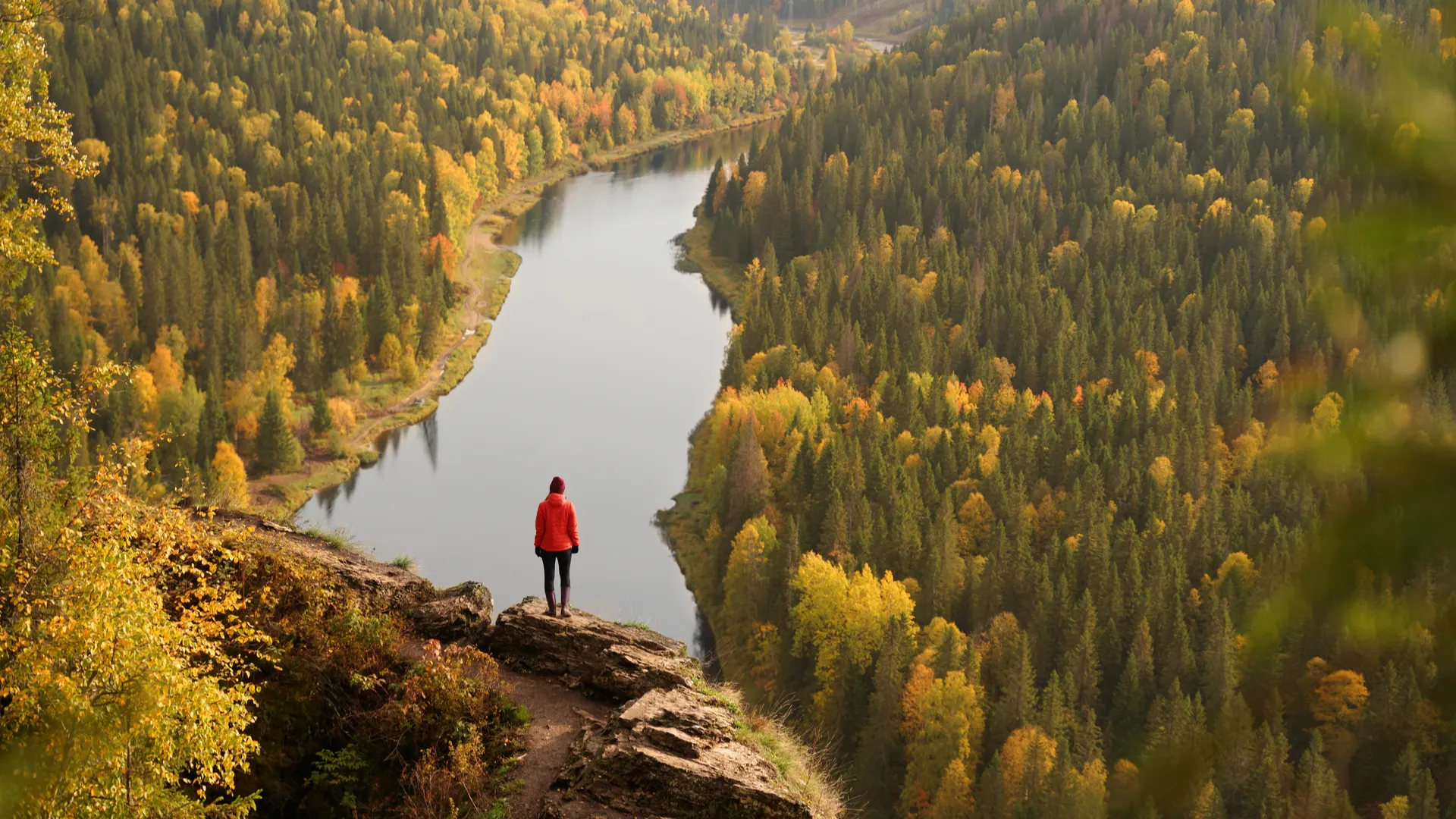 Фото: AntonSokolov / Shutterstock.com