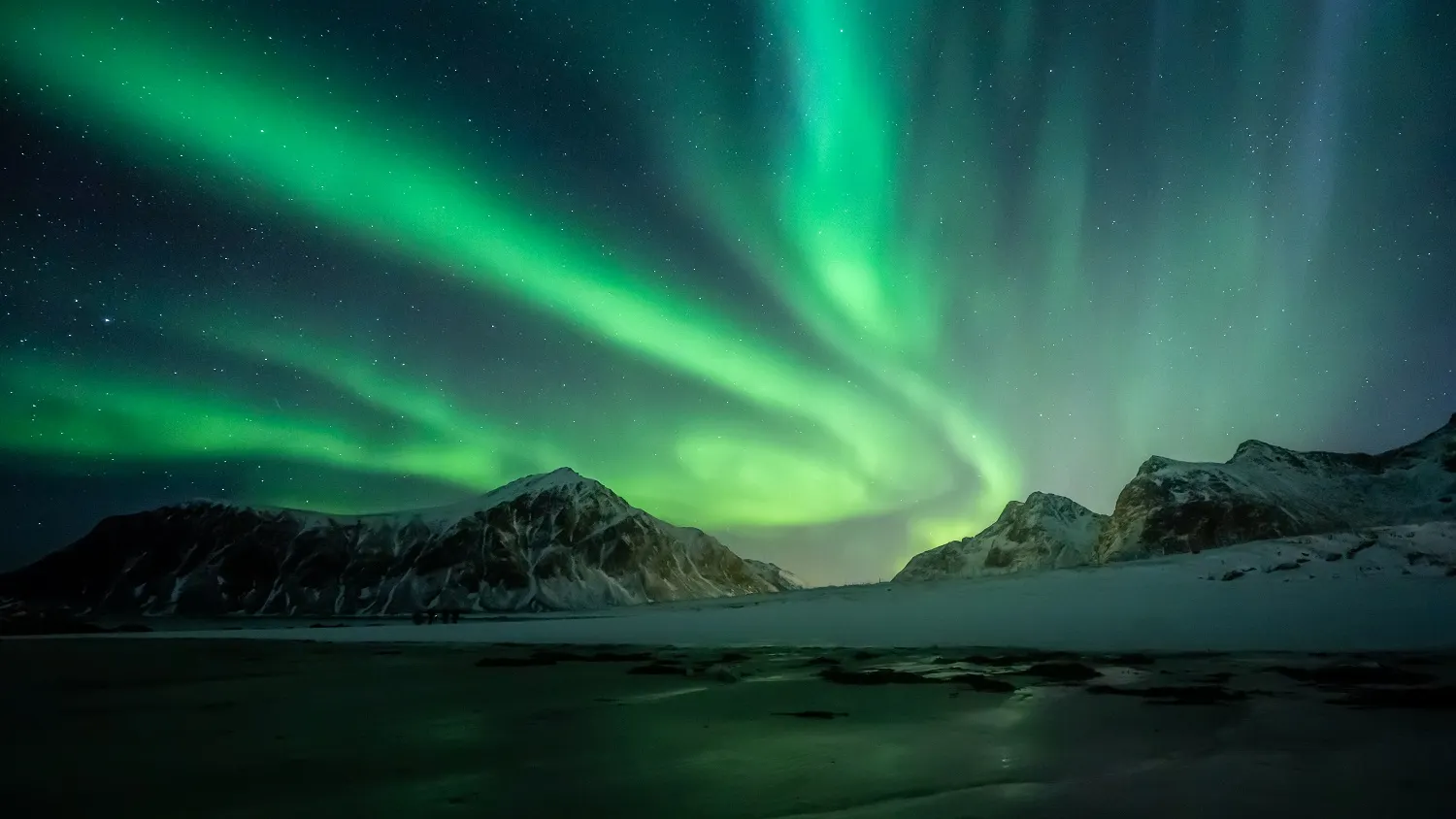 Фото: PhotoVisions / shutterstock.com