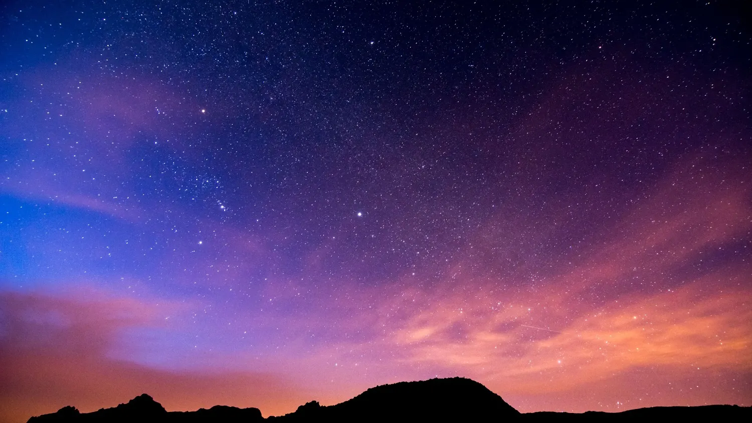 Фото: shutterstock.com