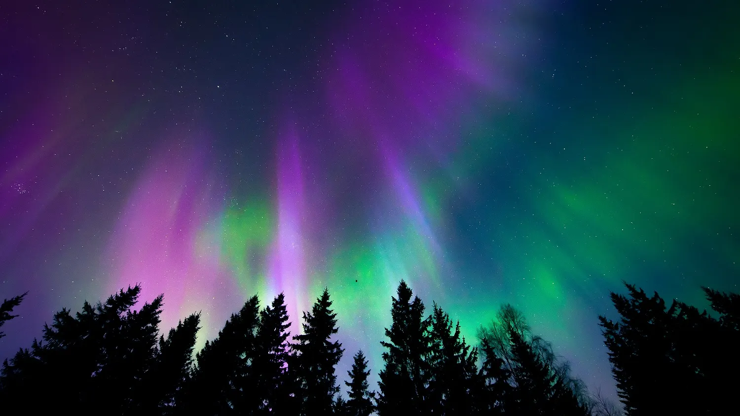Фото: Frozenmost / shutterstock.com