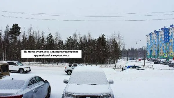 Фото: Ольга Крикливец / КРАСНЫЙ СЕВЕР