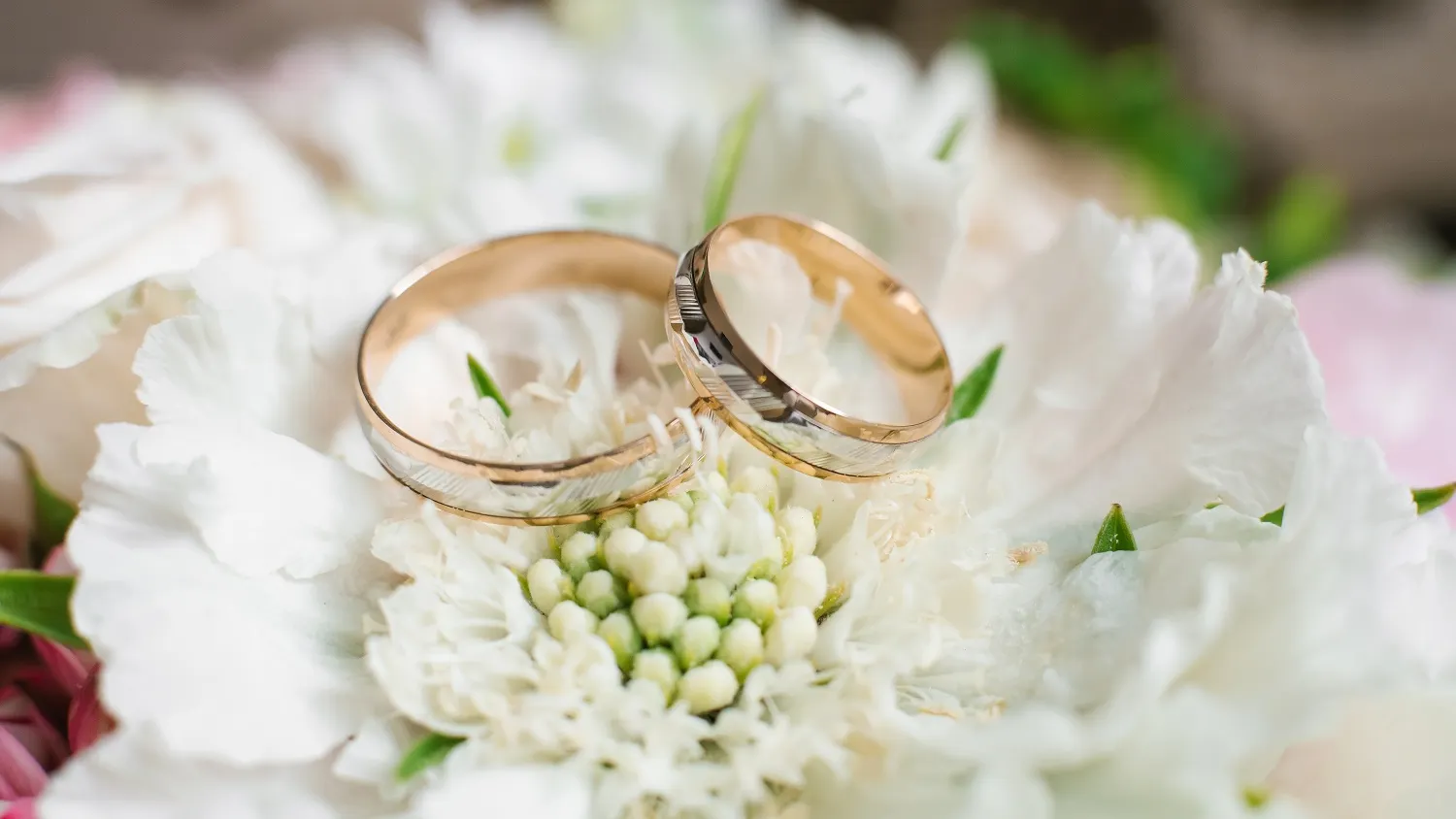 Фото: Chamomile_Olya / shutterstock.com