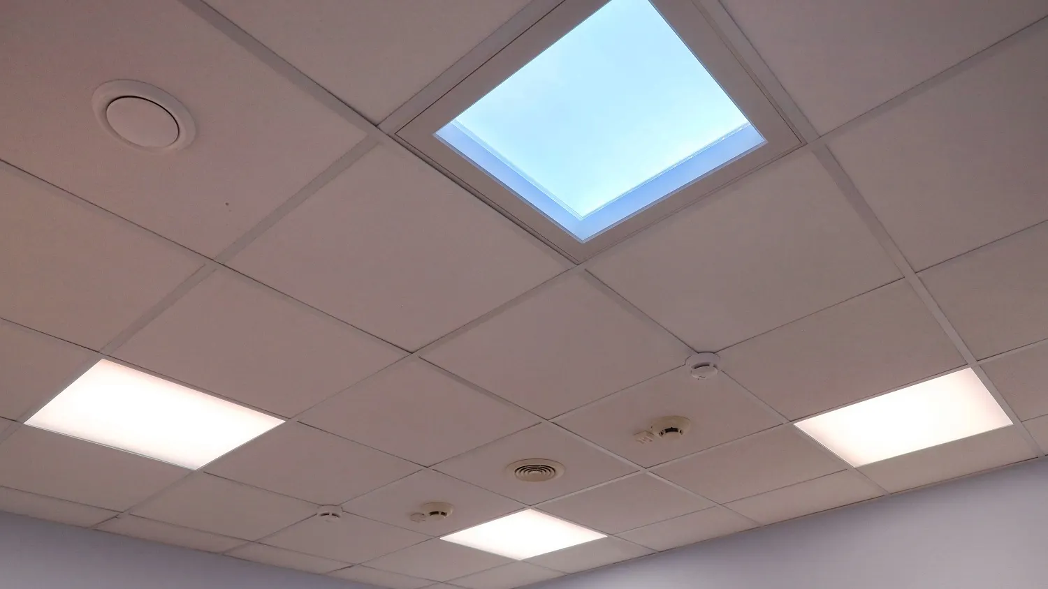 Фото: Василий Петров