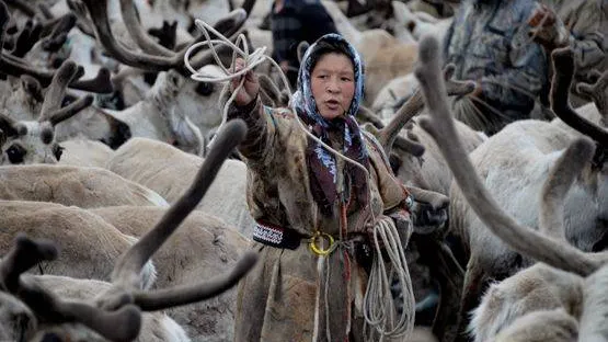 КРАСНЫЙ СЕВЕР