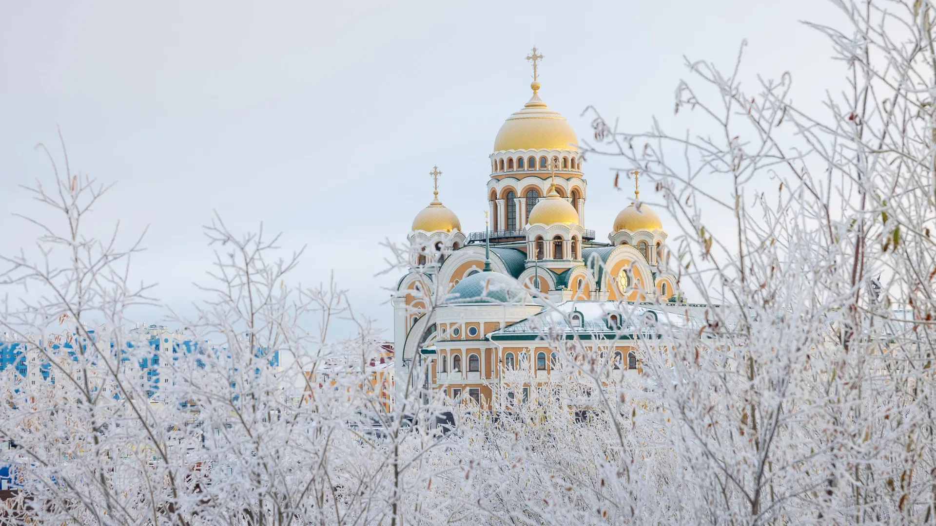 В кружевах инея.