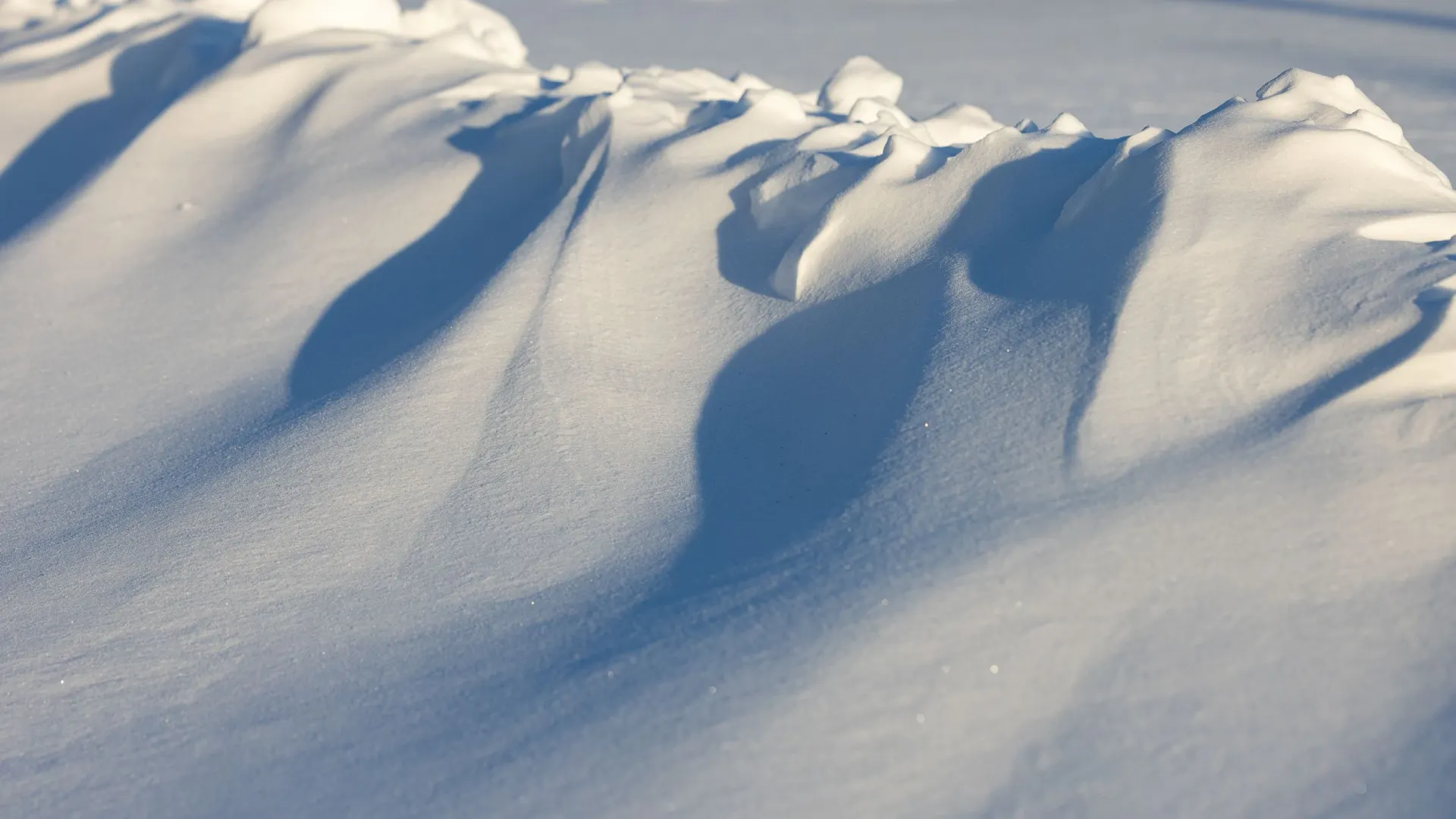 В белоснежных сугробах хорошо поваляться, как в детстве.