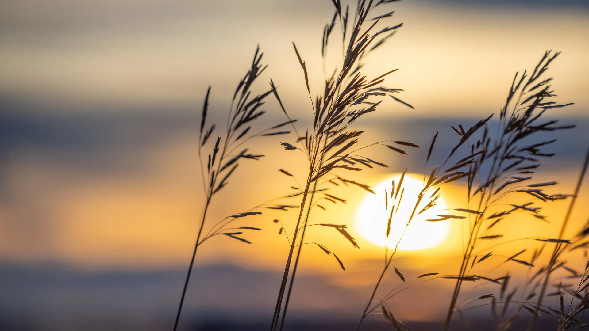 День становится короче, ночи - длиннее.