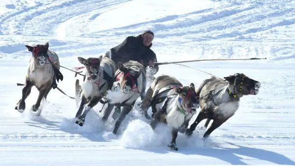 КРАСНЫЙ СЕВЕР