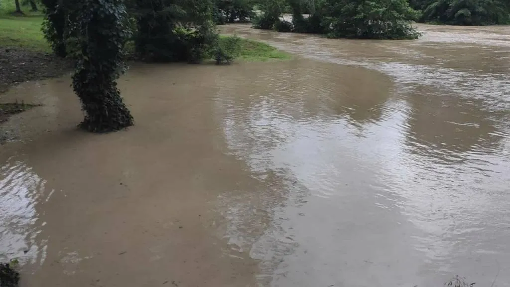 – Ночью просыпаемся – во дворе сплошная вода, бассейна не видно. Мужу, который под два метра ростом, было по пояс. Ну, что делать? Создали мобильную бригаду отдыхающих, стали помогать откачивать воду, все чистить и мыть. Мы ездим сюда постоянно и не могли