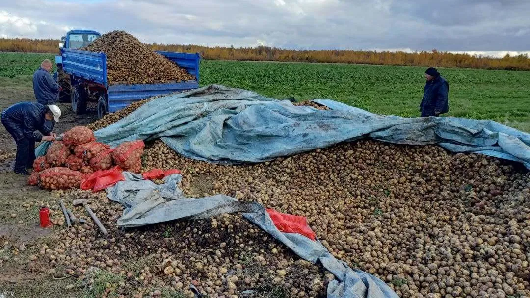 Фото: Владимир Ганчерко / КРАСНЫЙ СЕВЕР