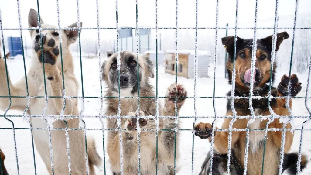 Фото: Юлия Чудинова
